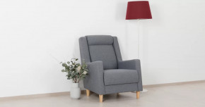 Дилан Кресло для отдыха арт. ТК 423 в Увате - uvat.mebel-tymen.ru | фото