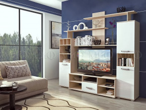 Гостиная Мини-2 в Увате - uvat.mebel-tymen.ru | фото