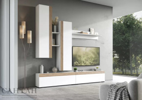 Гостиная НАО-Моно №1 в Увате - uvat.mebel-tymen.ru | фото