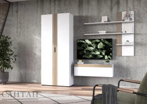 Гостиная НАО-Моно №10 в Увате - uvat.mebel-tymen.ru | фото