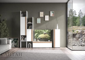 Гостиная НАО-Моно №3 в Увате - uvat.mebel-tymen.ru | фото