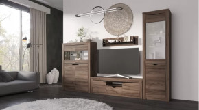 Гостиная Серия Регина дуб самдал в Увате - uvat.mebel-tymen.ru | фото