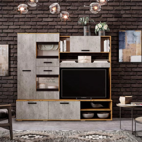 Гостиная Трамп ЦС-05 в Увате - uvat.mebel-tymen.ru | фото