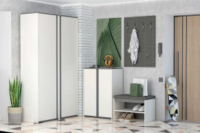 Иннэс-12 Прихожая №2 Диал в Увате - uvat.mebel-tymen.ru | фото