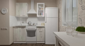 Кухонный гарнитур Алина мини 1000 мм в Увате - uvat.mebel-tymen.ru | фото