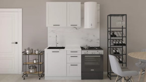 Кухонный гарнитур Берген длиной 100 см в Увате - uvat.mebel-tymen.ru | фото