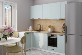 Кухонный гарнитур Лиора прайм 400 1100х2000 мм в Увате - uvat.mebel-tymen.ru | фото