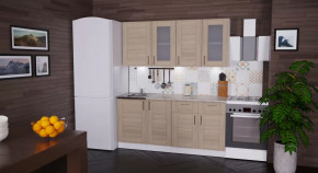 Кухонный гарнитур Лира демо 1700 мм в Увате - uvat.mebel-tymen.ru | фото