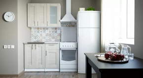 Кухонный гарнитур Лира мини 1000 мм в Увате - uvat.mebel-tymen.ru | фото