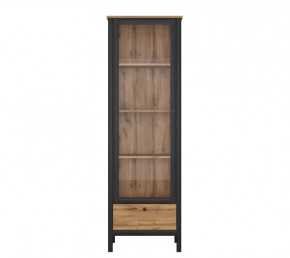 LOFT шкаф REG1W1S (Дуб вотан/Черный) в Увате - uvat.mebel-tymen.ru | фото