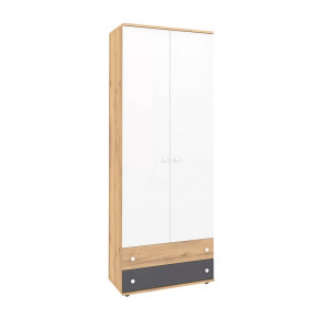 Лойс 92 Шкаф для одежды и белья в Увате - uvat.mebel-tymen.ru | фото