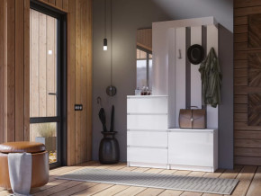 Прихожая Челси белый в Увате - uvat.mebel-tymen.ru | фото