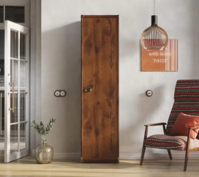 Шкаф JREG 1d Дуб саттер ИНДИАНА в Увате - uvat.mebel-tymen.ru | фото