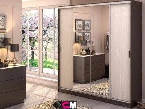 Шкаф-купе Альянс 2000 в Увате - uvat.mebel-tymen.ru | фото