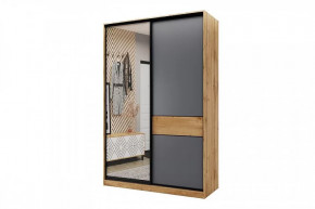 Шкаф-купе SLIM двухдверный BS15-6.ZD в Увате - uvat.mebel-tymen.ru | фото