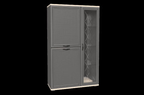 Шкаф многоцелевой ШК-1082 Карина в Увате - uvat.mebel-tymen.ru | фото