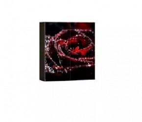 Шкаф навесной Киото 904 К (фотопечать) в Увате - uvat.mebel-tymen.ru | фото