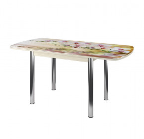 Стол Бостон-3 раздвижной, фотопечать Орхидея на воде/венге/хром брифинг в Увате - uvat.mebel-tymen.ru | фото