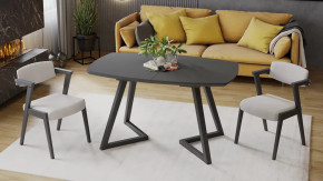 Стол обеденный «TESCA 2» Графит, Стекло графит матовое в Увате - uvat.mebel-tymen.ru | фото