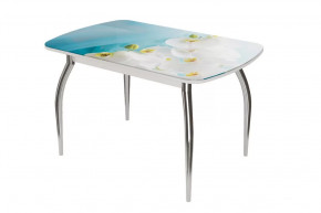 Стол овальный Бостон-2 Белая орхидея, 1100*700 мм, хром триумф в Увате - uvat.mebel-tymen.ru | фото