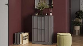 Тумба для обуви «Хилтон» Исп.2 Серый графит, Графит матовый в Увате - uvat.mebel-tymen.ru | фото